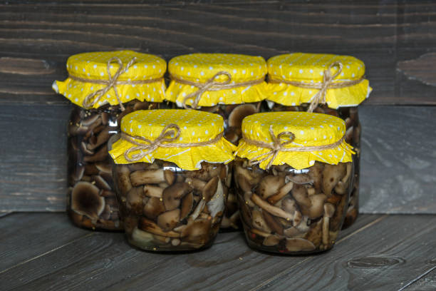 Mushrooms marinaded in glass jars. Fermented mushrooms on rustic widen background. mushrooms conservation for the winter.Several types of pickled mushrooms in jars. Mushrooms marinaded in glass jars. Fermented mushrooms on rustic widen background. mushrooms conservation for the winter.Several types of pickled mushrooms in jars. Cepe stock pictures, royalty-free photos & images