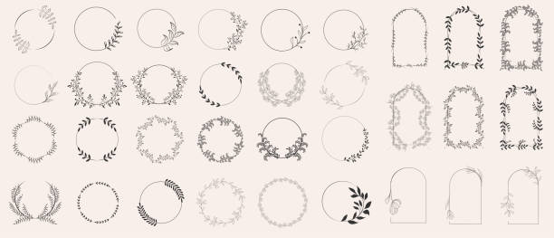 set of laurels frames branches. vintage laurel wreaths collection. floral wreaths with leaves, berries. decorative elements for design. doodle vector illustration plants. isolated on white background. - 花環 裝飾 插圖 幅插畫檔、美工圖案、卡通及圖標
