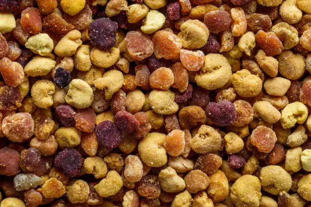 Photo of Macro shot of bee pollen or perga.Raw brown, yellow, orange and blue flower pollen grains or bee bread packed by worker honeybees. Healthy food supplement
