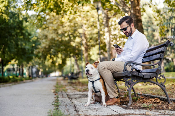 istock Break time. A tired dog is sitting next to its owner. The man is looking at his phone while sitting on the bench in a city park. 1340218700