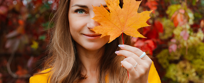 A portrait of a beautiful fashionable happy woman in a bright sweater with a smile with an autumn yellow leaf in the Park covers her face. banner, free space