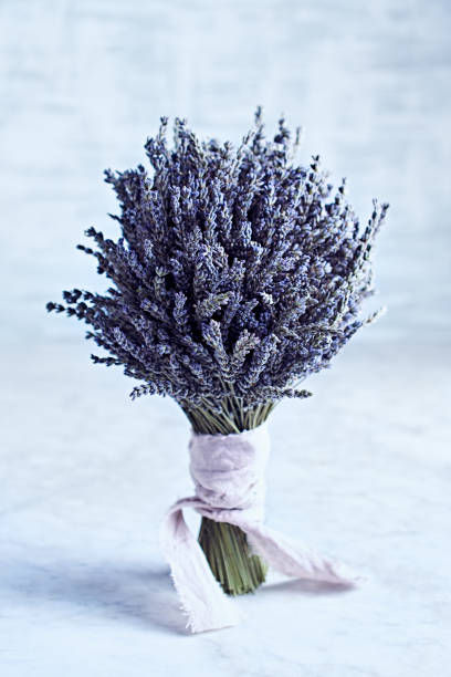 Bunch of dry Lavender on marble background