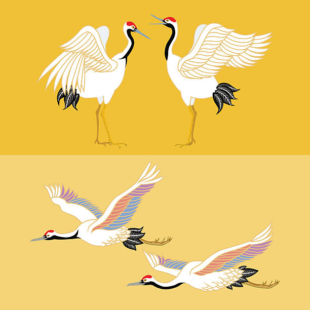 Illustration of Japanese cranes standing and in flight Vector illustration of Japanese crane. japanese crane stock illustrations