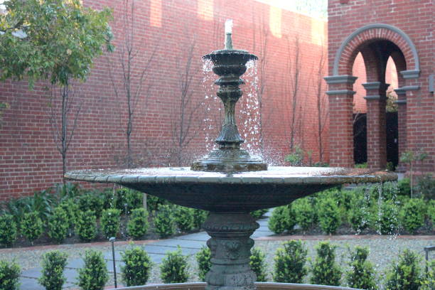 Melbourne Spring Flowers and Gardens