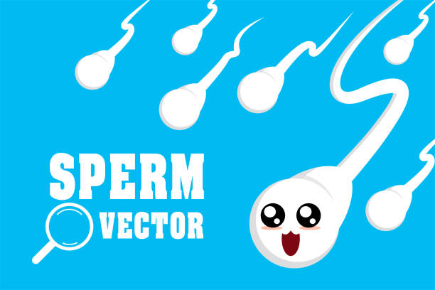 stockillustraties, clipart, cartoons en iconen met cute sperms character illustration vector - pregnant count