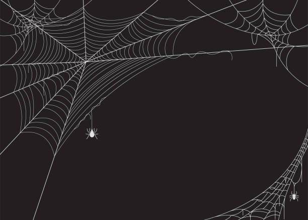 spinnennetz-vektor-illustration - spinnennetz stock-grafiken, -clipart, -cartoons und -symbole