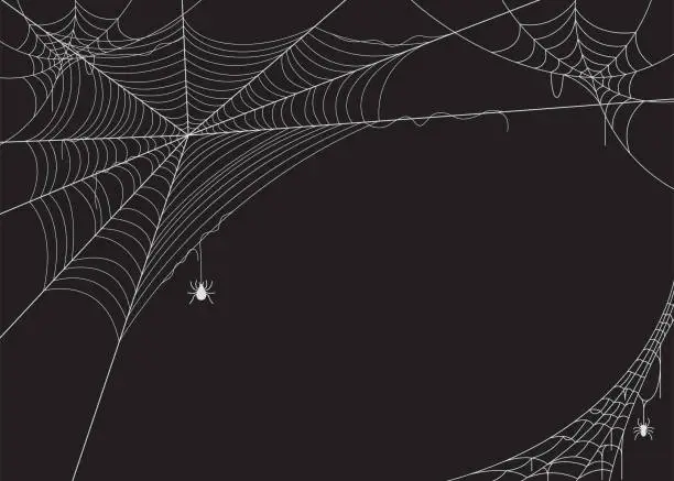 Vector illustration of Spider web vector illustration