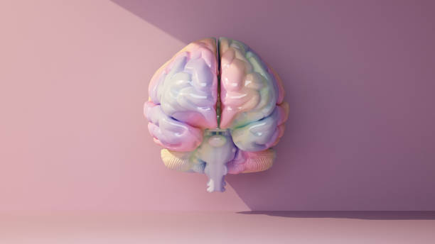 istock multicolored brain front view in a beam of light 1340232203