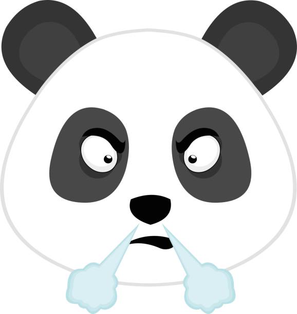 Angry Panda Stock Photos, Pictures & Royalty-Free Images - iStock