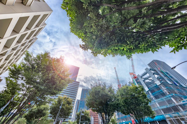 istock Buildings in Tokyo with beautiful sunlight 1340235192