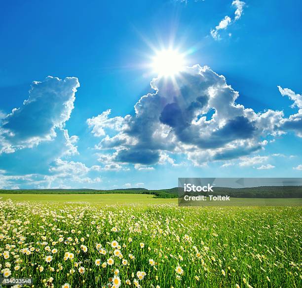 Green Meadow In Mountain Stock Photo - Download Image Now - Agricultural Field, Agriculture, Beauty In Nature
