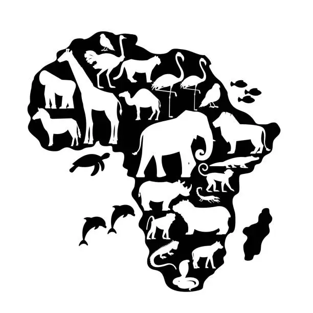Vector illustration of Silhouettes of wild African Animals and Birds on the Map