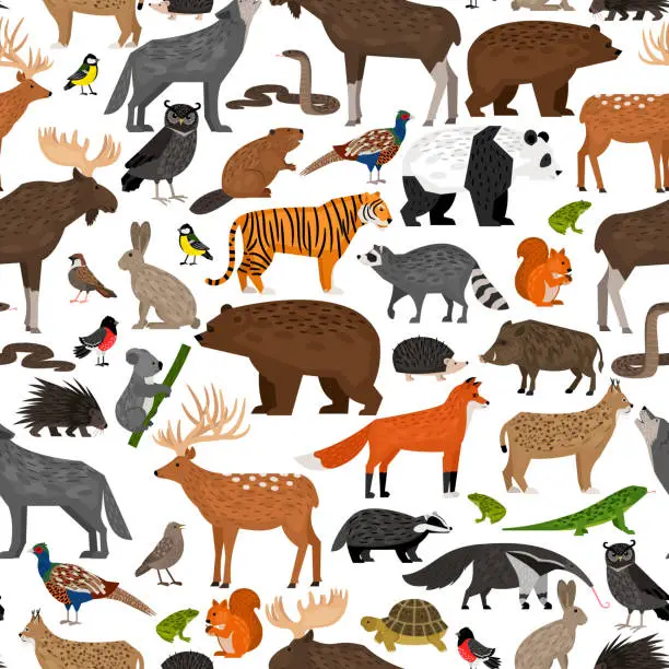 Vector illustration of Seamless pattern with cute Forest wild animals