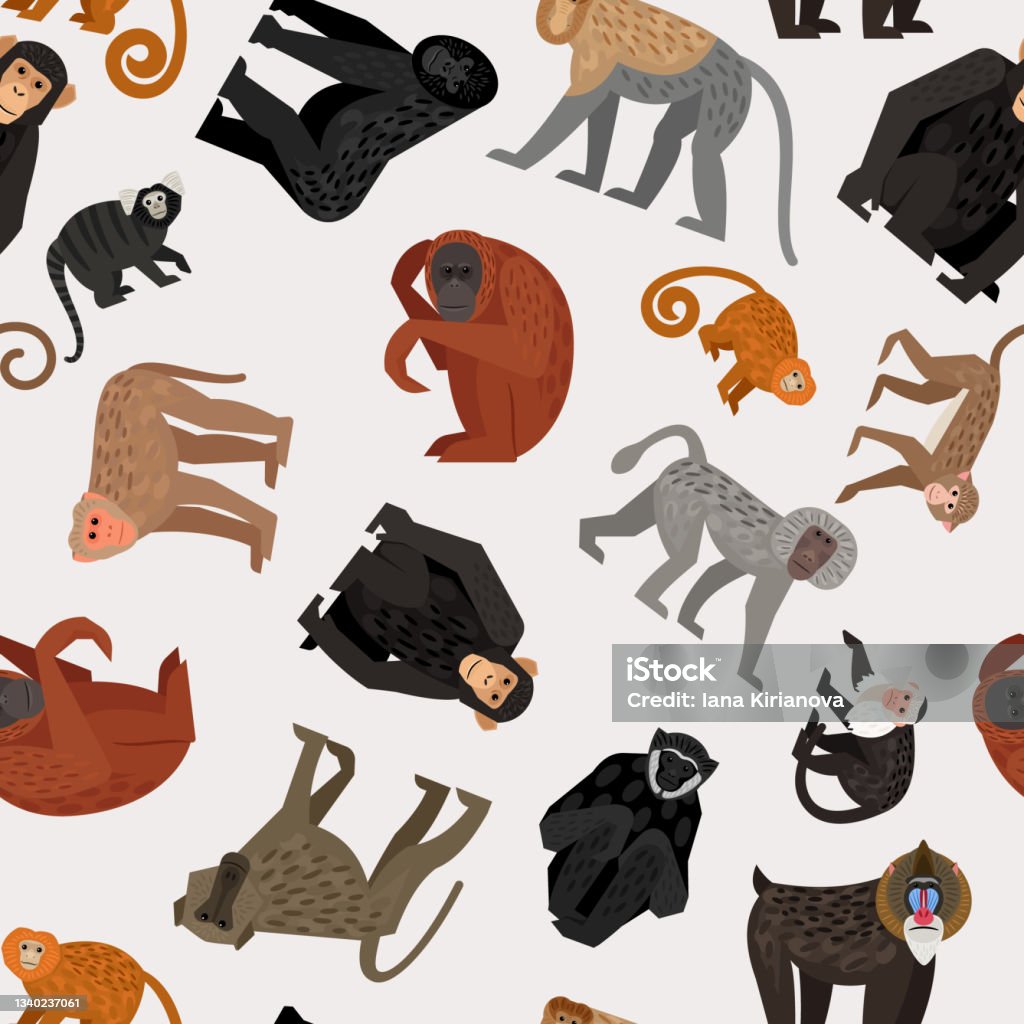 Patterned Monkeys Seamless Vector Pattern With Different Cute Monkey Stock Illustration ...