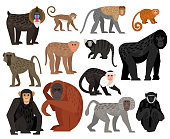 Nice big vector set of different cute Monkeys