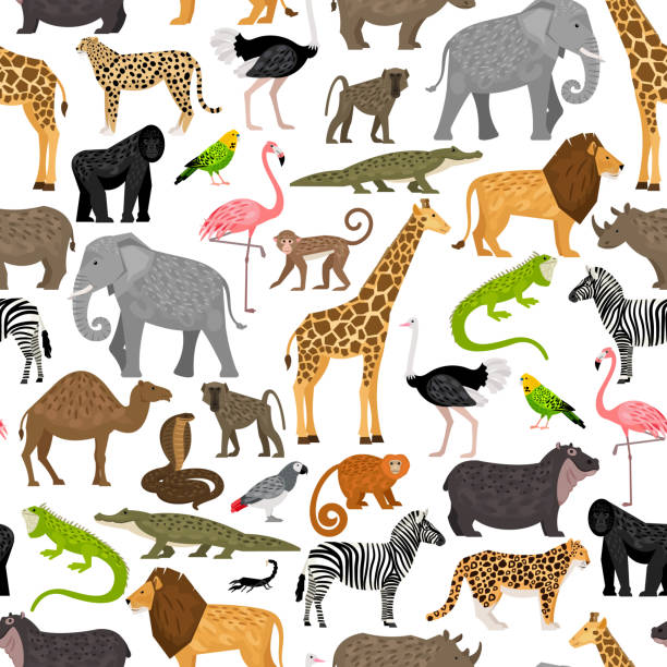 nahtloses vektormuster mit afrikanischen wildtieren und vögeln - safari animals safari giraffe animals in the wild stock-grafiken, -clipart, -cartoons und -symbole
