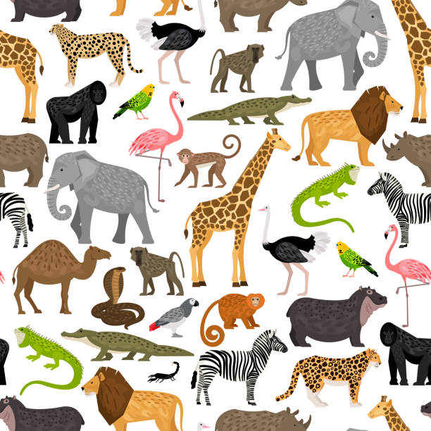 illustrations, cliparts, dessins animés et icônes de motif vectoriel sans couture avec des animaux sauvages et des oiseaux africains - zoo animal safari giraffe