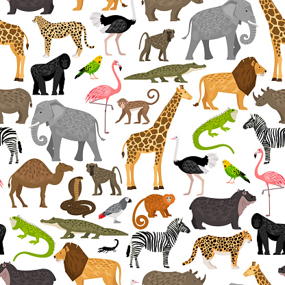 Seamless pattern with African animals and birds