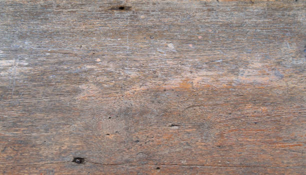 istock Natural wood slats wall or lath line arrange. Flooring pattern surface texture. Close-up of interior architecture material for design decoration background. 1340241600