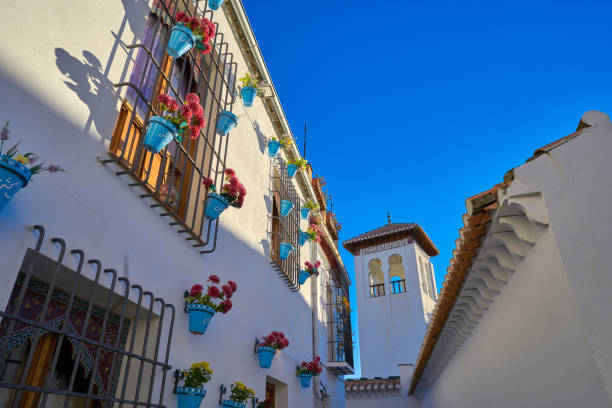 Major Mezquita mosque of Granada in Albaicin of Andalusia spain