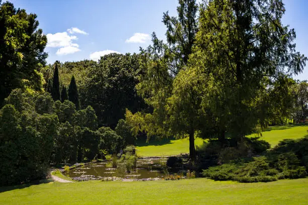 Small pond with shady trees at Sigurtà Garden Park, Valeggio sul Mincio, Veneto, Italy.