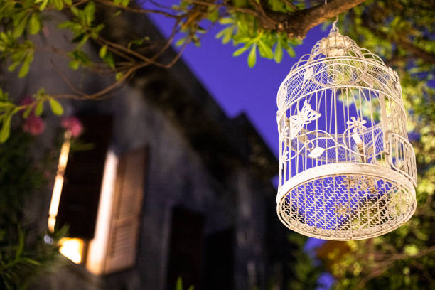 Decorative bird cage hanging from a tree at night in the garden. Shabby, country chic home decor, garden inspiration idea.
