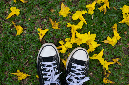 Yellow flowers on the ground, with feet in sneakers, stepping on the grass.