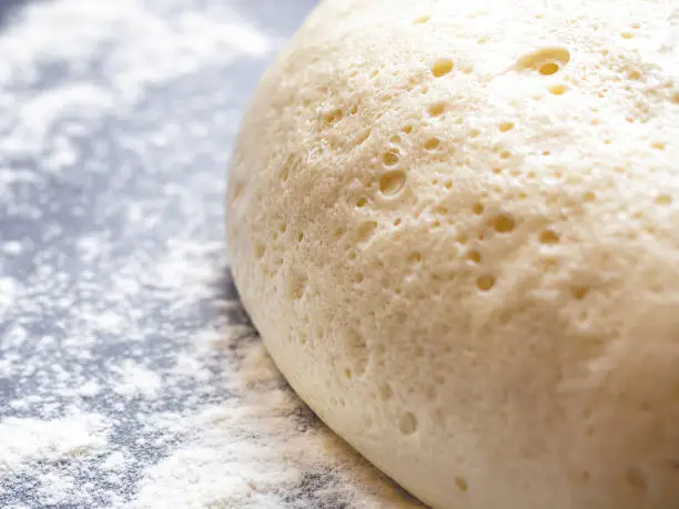 The risen dough is on a board with flour.