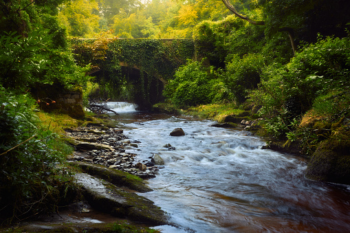 A Stone Bridge Over A River In Autumn. Kinnitty, Leinster ireland.