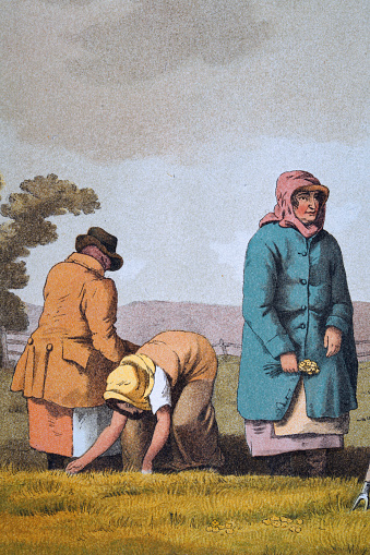 High resolution detail from the The Costume of Yorkshire, by George Walker, 1814, The Lowkers. Agricultural workers weeding amoung the corn crop