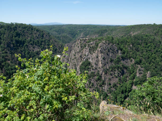 istock Nature in the Harz Nature Park 1340256387