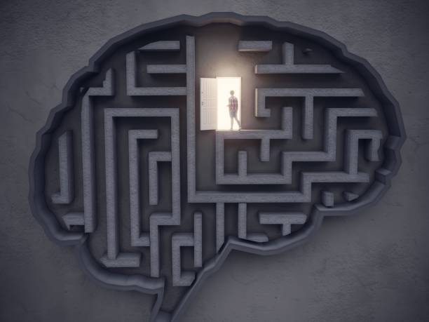 big idea concept, la donna apre la porta nel cervello a forma di labirinto - cervello umano foto e immagini stock