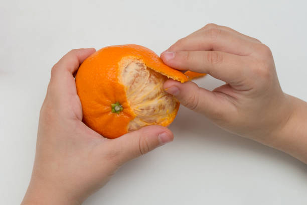istock close-up on a white background child's hands are peeling a tangerine. The idea is proper nutrition, natural products, the development of fine motor skills. 1340263420