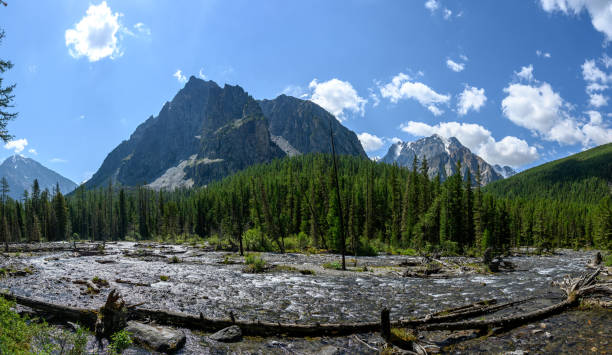 istock The mountain river flows among the rocks. 1340264126