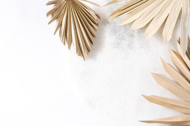 istock Dry palm leaves on a white background. Flat lay. Top view. Copy space 1340264177