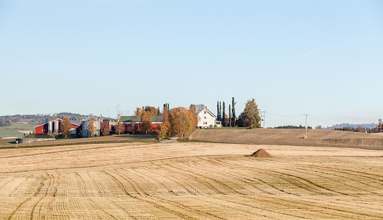 Rural Norwegian landscape with wooden houses and  fields in autumn season