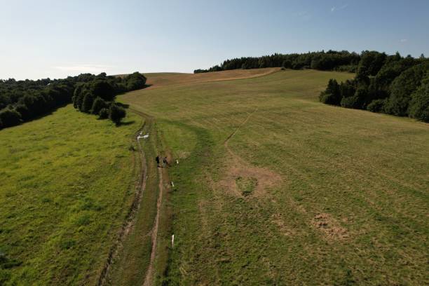 istock landscape top view of trees meadow 1340265370