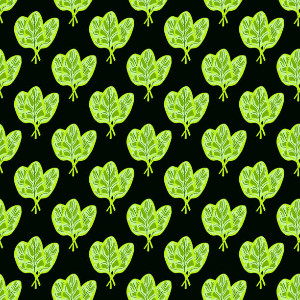 бесшовный узор из шпината салата на черном фоне. простой орнамент с салатом. - backgrounds lettuce agriculture botany stock illustrations