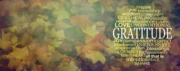 an autumnal multicoloured wide rustic grunge leaf background with GRATITUDE word cloud on right and copy space on left