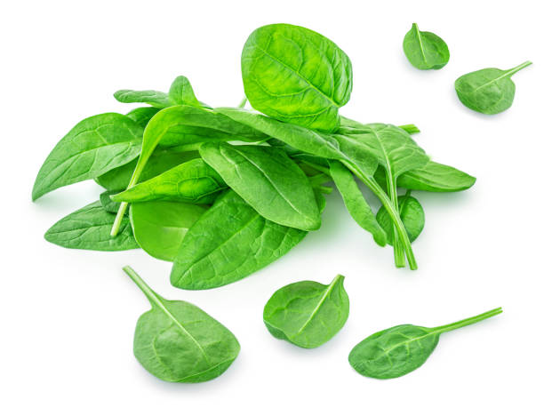 istock Spinach leaves isolated on white background. Various Spinach leaf Macro. Top view. Flat lay.