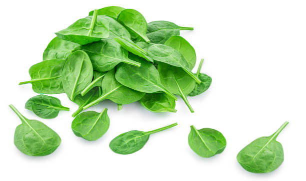 istock Spinach leaves isolated on white background. Various Spinach leaf Macro. Top view. Flat lay.