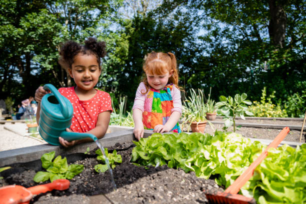 istock Lets Water The Plants 1340274706