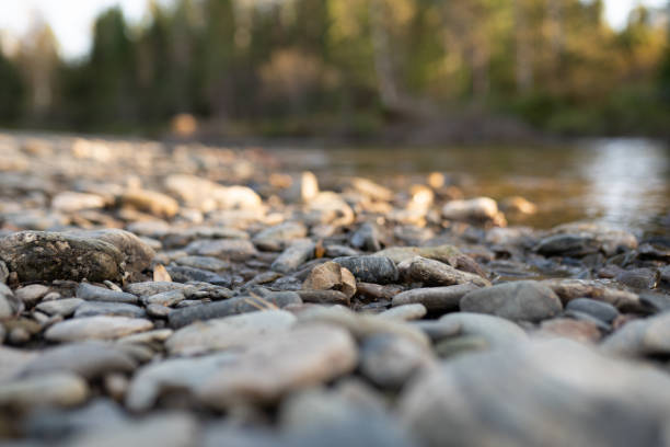 istock empty shore of river close up, for your product 1340274772