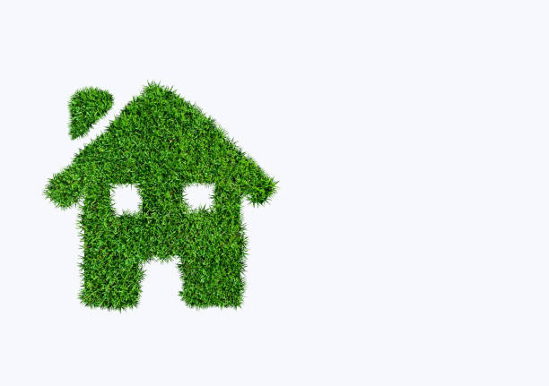 istock House icon made with the grass against white background. Copy space 1340277698