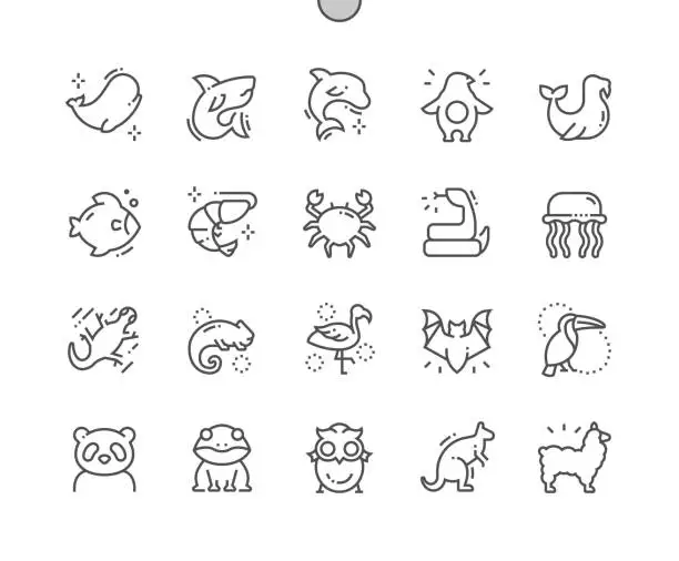 Vector illustration of Animals. Zoo, marine animals and mammals. Shark, dolphin, penguin, fish, snake, jellyfish, chameleon, flamingo, panda and other. Pixel Perfect Vector Thin Line Icons. Simple Minimal Pictogram