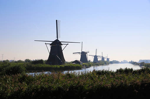 View over reed grass and water canal on old windmills in a row with hazy morning sky in rural landscape - Kinderdijk, Netherlands