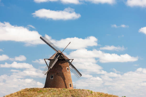 windmill with a meadow of flowers infront
