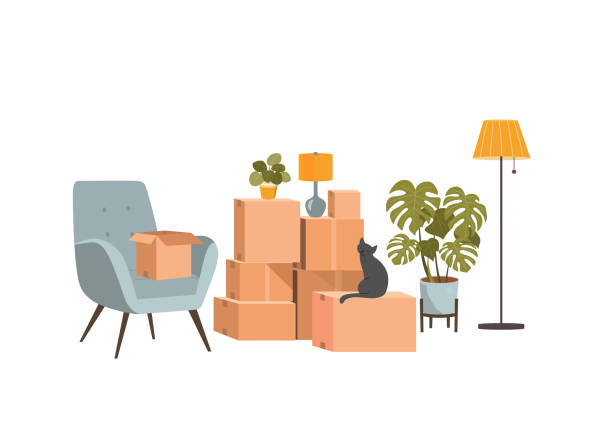 ilustrações de stock, clip art, desenhos animados e ícones de moving boxes and furniture. vector flat style illustration - cat box