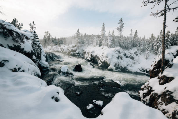 río yellowstone firehole en invierno - río firehole fotografías e imágenes de stock