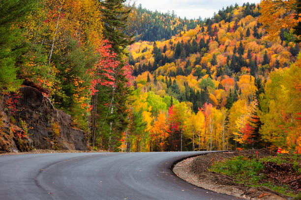 herbstfarben im nationalpark la mauricie. - laurentian moutains stock-fotos und bilder